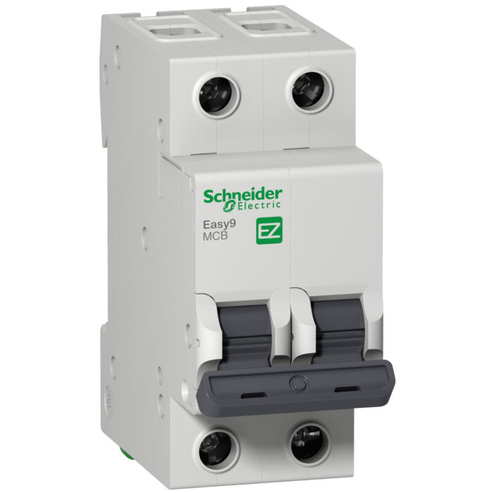 Termica Easy9 2x40a 4,5ka Schneider - Ez9f34240 - Imagen 2